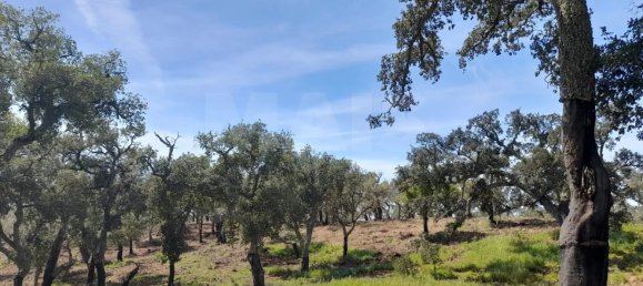  Land in Grandola, Portugal No. 135803 3