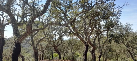  Land in Grandola, Portugal No. 135803 13