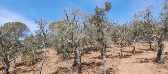  Land in Grandola, Portugal No. 135803 10