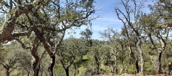  Land in Grandola, Portugal No. 135803 6