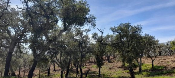  Land in Grandola, Portugal No. 135803 15