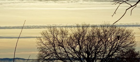  Land in L'Isle-Jourdain, France No. 113090 2