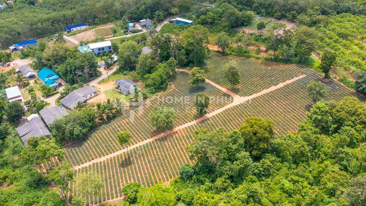 Terra em Mai Khao, Thailand N.º 60397