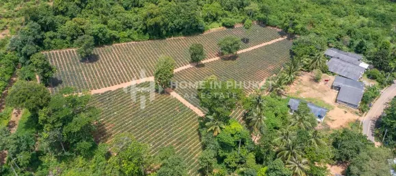 Terra em Mai Khao, Thailand N.º 60397 4