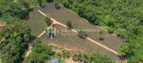 Terra em Mai Khao, Thailand N.º 60397 3