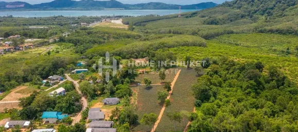 Terra em Mai Khao, Thailand N.º 60397 2