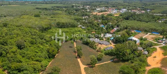 Terra em Mai Khao, Thailand N.º 60397 7