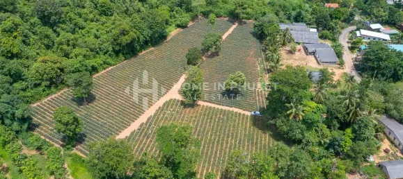 Terra em Mai Khao, Thailand N.º 60397 5