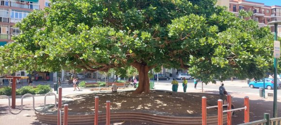 4 Schlafzimmer Wohnung in Malaga, Spain, Nr. 159389 37