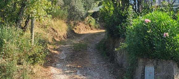 3 rooms Villa in Bagnone, Italy No. 210335 24