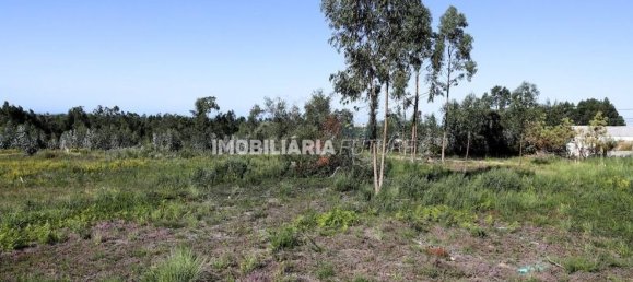 Terreno en Rio Meao, Portugal 4513 m² No. 95378 3