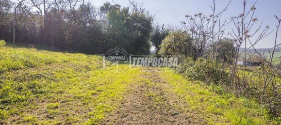 7 rooms House in Senigallia, Italy No. 65487 22