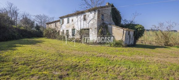 7 rooms House in Senigallia, Italy No. 65487 8