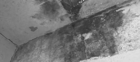 7 chambres Appartement à Venice, Italy No. 327906 13