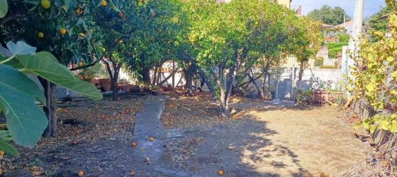 Terreno en San Pietro Clarenza, Italy 926 m² No. 161120 13