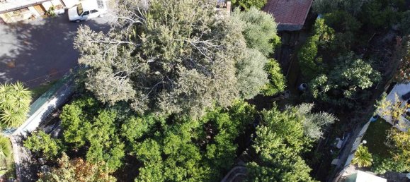 Terreno en San Pietro Clarenza, Italy 926 m² No. 161120 6