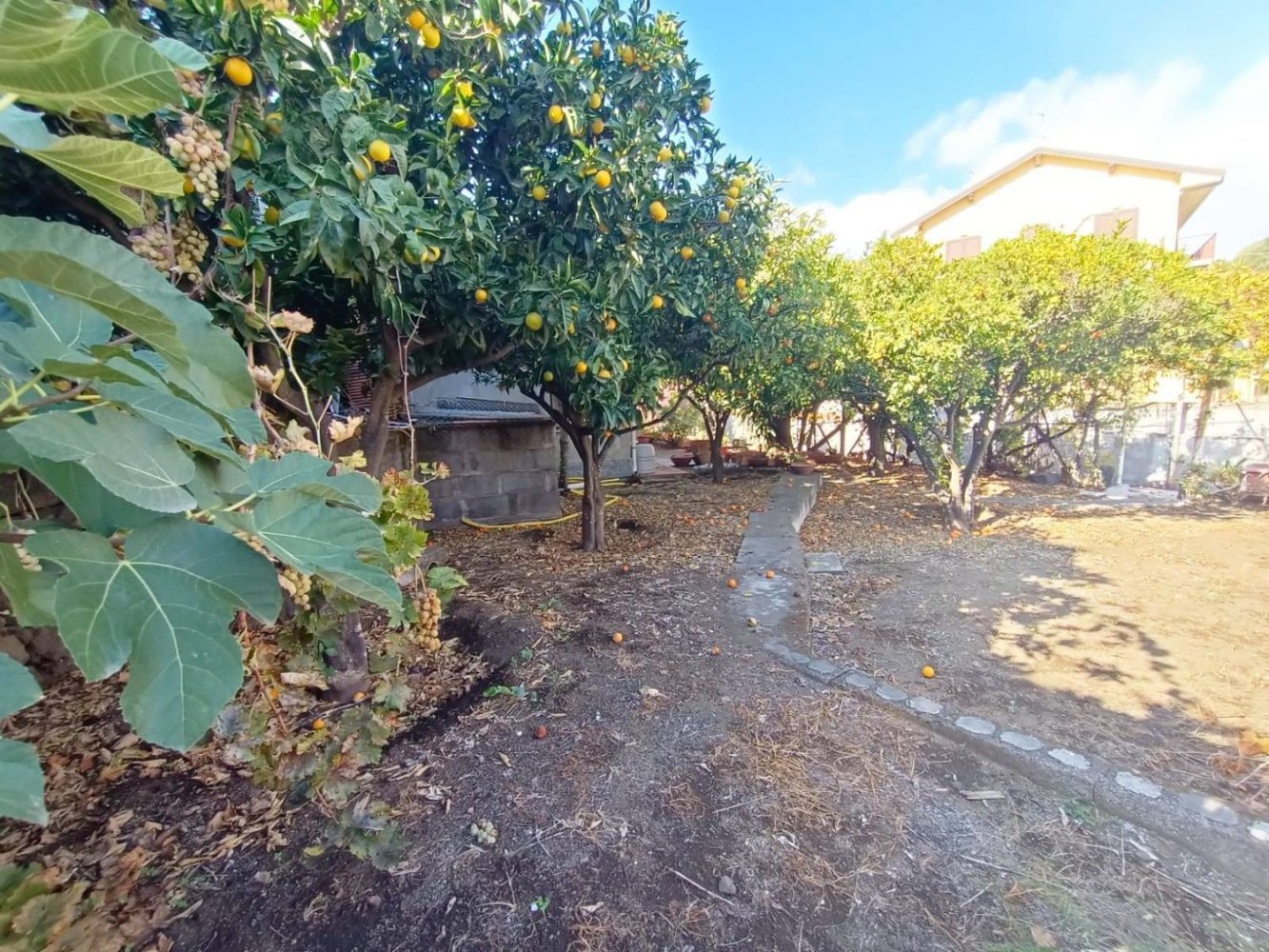 Terreno en San Pietro Clarenza, Italy 926 m² No. 161120