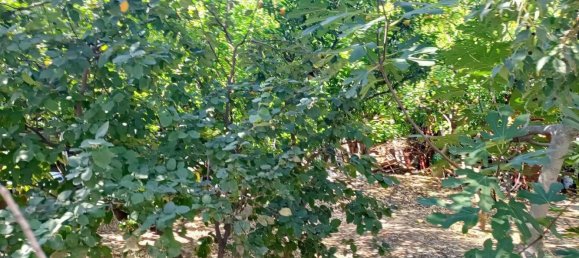 Terreno en San Pietro Clarenza, Italy 926 m² No. 161120 8