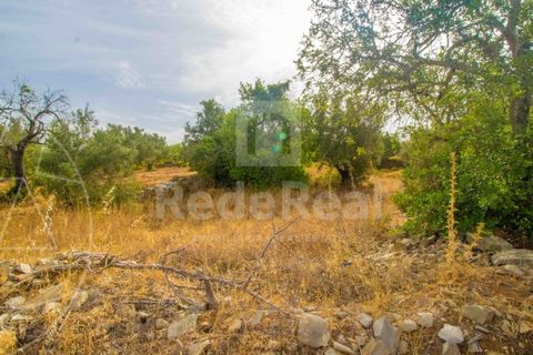 Grundstück in Faro, Portugal, Nr. 150666