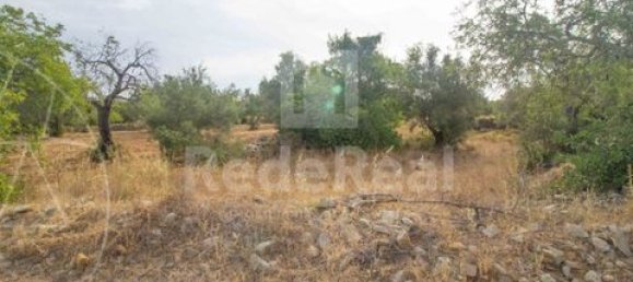 Grundstück in Faro, Portugal, Nr. 150666 4