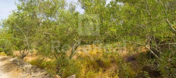 Grundstück in Faro, Portugal, Nr. 150666 3