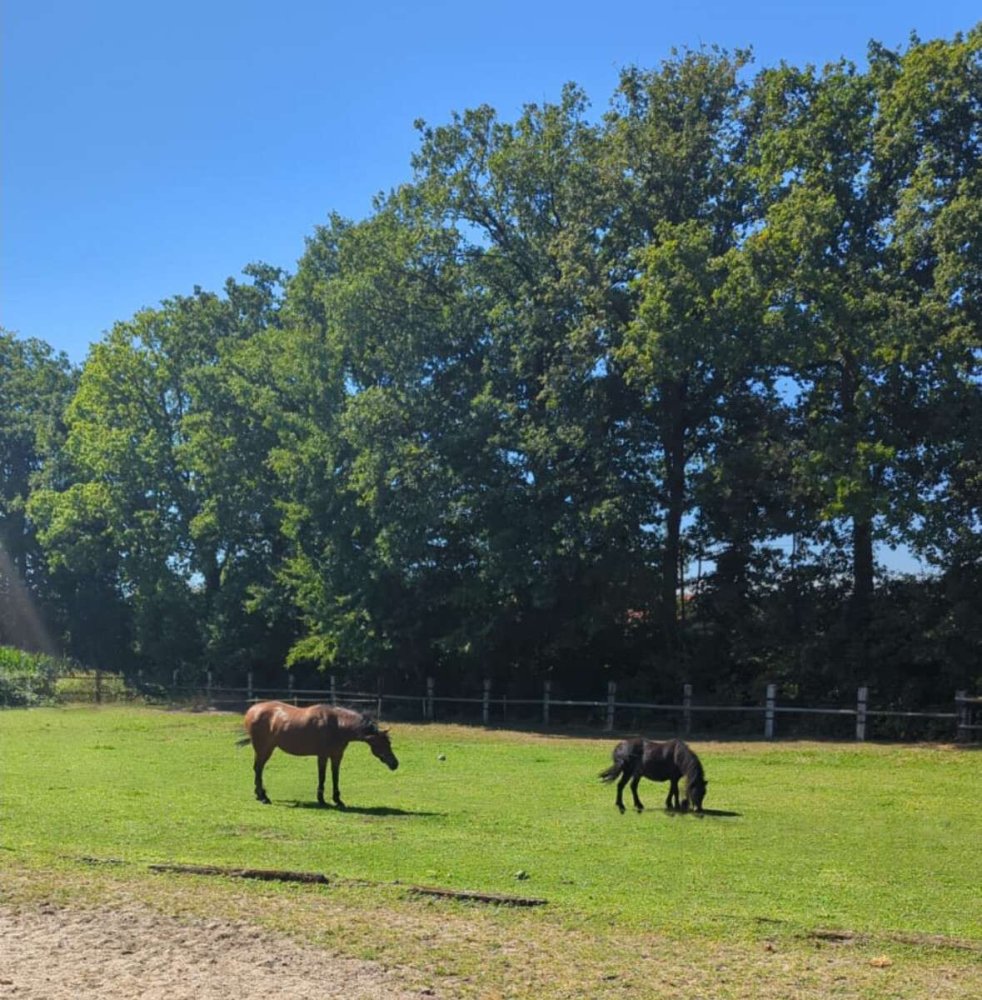 8-salle Ferme à Steinfurt, Germany No. 268195