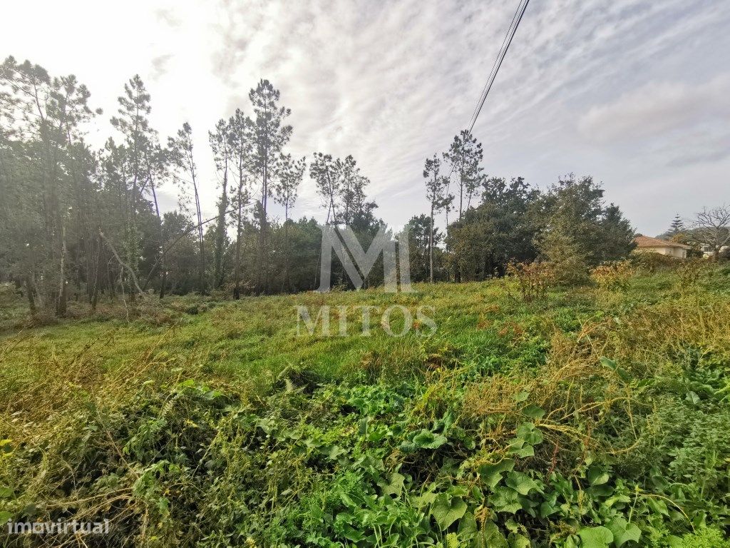 4970m² Land in Anha, Portugal No. 76387