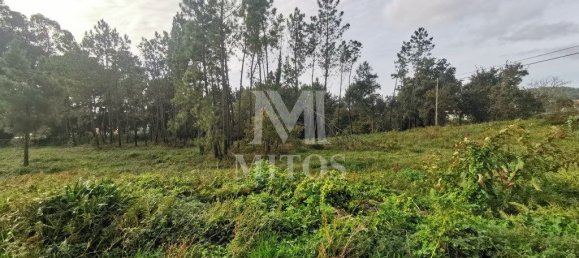 4970m² Land in Anha, Portugal No. 76387 7
