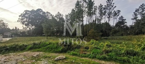 4970m² Land in Anha, Portugal No. 76387 6