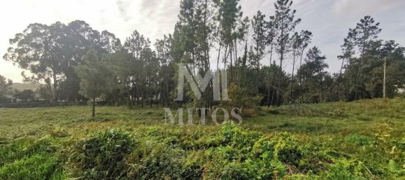 4970m² Land in Anha, Portugal No. 76387 3