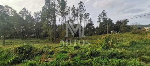 4970m² Land in Anha, Portugal No. 76387 5