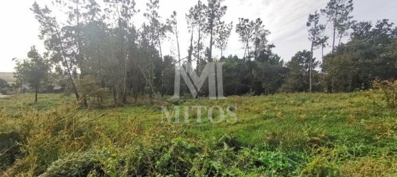 4970m² Land in Anha, Portugal No. 76387 2