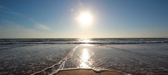 52m² Commercial property in Guardamar del Segura, Spain No. 56322 14