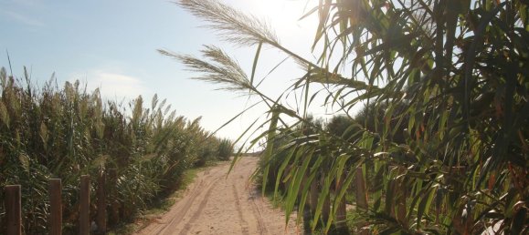 52m² Commercial property in Guardamar del Segura, Spain No. 56322 17