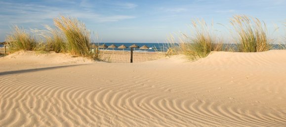 52m² Commercial property in Guardamar del Segura, Spain No. 56322 9