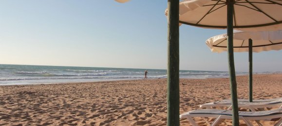 52m² Commercial property in Guardamar del Segura, Spain No. 56322 25