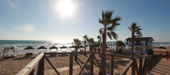 52m² Commercial property in Guardamar del Segura, Spain No. 56322 27