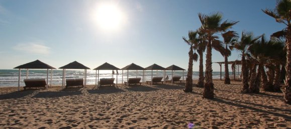 52m² Commercial property in Guardamar del Segura, Spain No. 56322 22