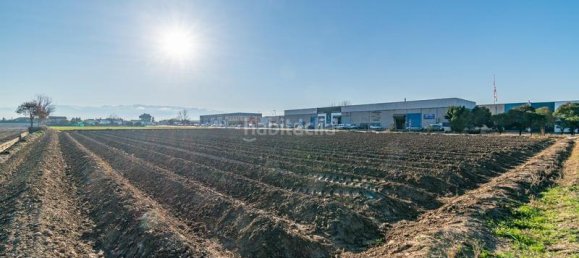 Terreno en Fuente Vaqueros, Spain 5171 m² No. 175728 5