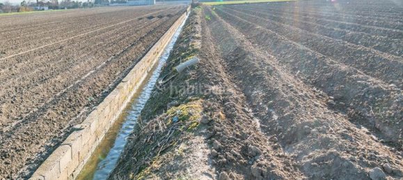 Terreno en Fuente Vaqueros, Spain 5171 m² No. 175728 7