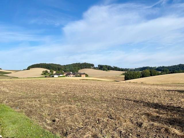 1000m² Land in Pennewang, Austria No. 215232