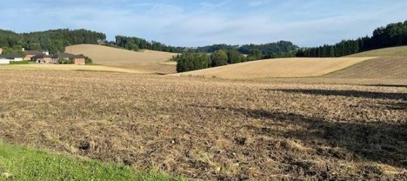 1000m² Land in Pennewang, Austria No. 215232 2