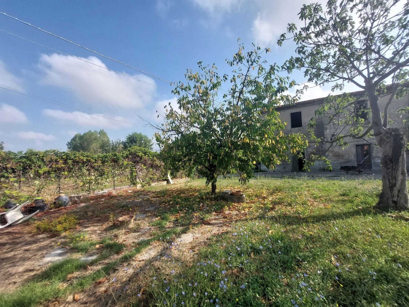 6 bedrooms House in Prato, Italy No. 396500