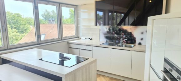 1 chambre Duplex à Mannheim, Germany No. 252264 5