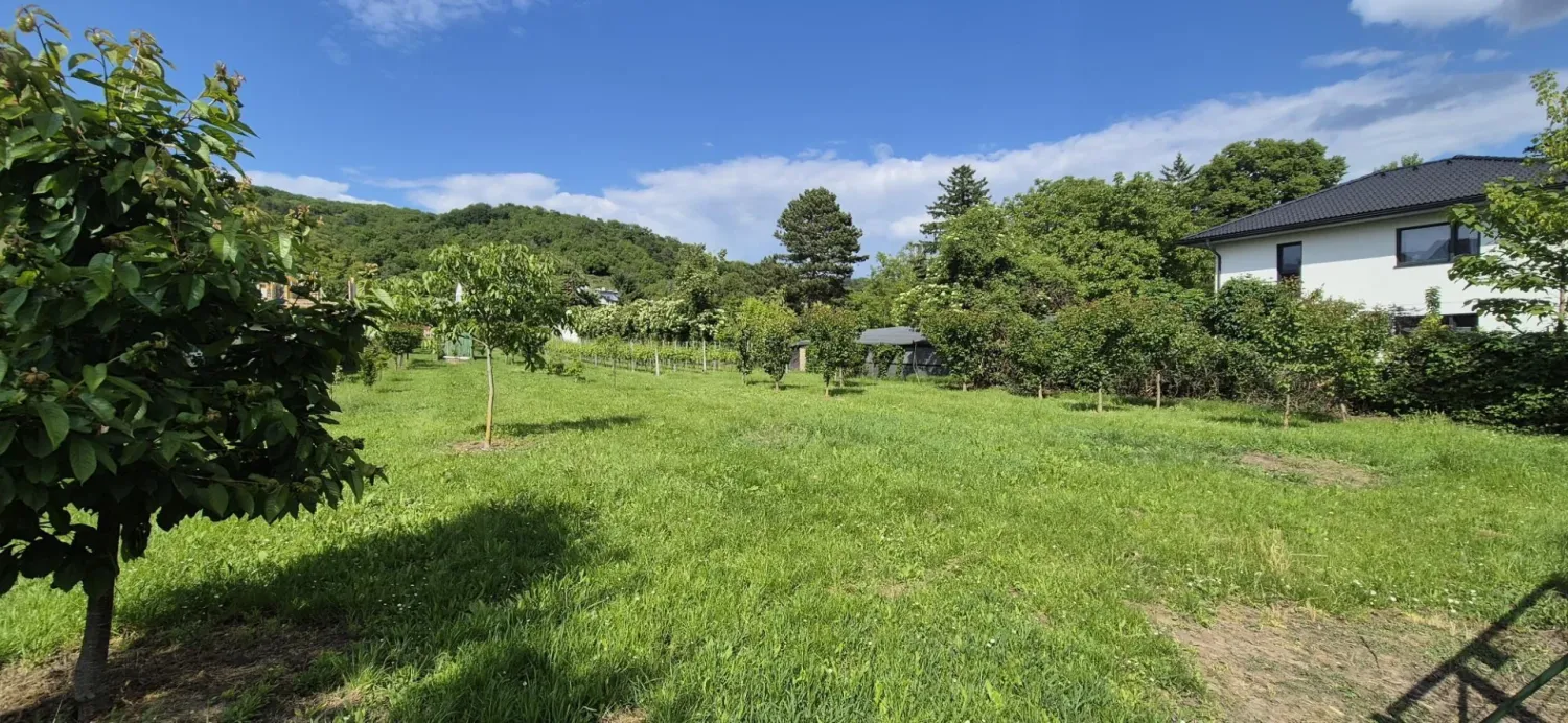 Grundstück in Langenzersdorf, Austria 1335m², Nr. 100196