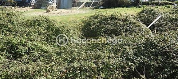 Terrain à Ucha, Portugal 3173m² No. 20307 10