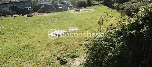 Terrain à Ucha, Portugal 3173m² No. 20307 5