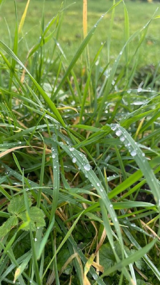 Grundstück in Bouxieres-aux-Dames, France 235m², Nr. 60635