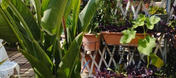 Studio in Milan, Italy, Nr. 305227 15