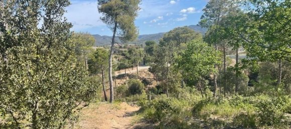 1138m² Land in La Torre de Claramunt, Spain No. 29119 5